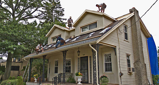 Best Roof Gutter Cleaning  in Cassopolis, MI