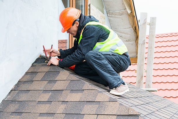 Best Metal Roofing Contractor  in Cassopolis, MI